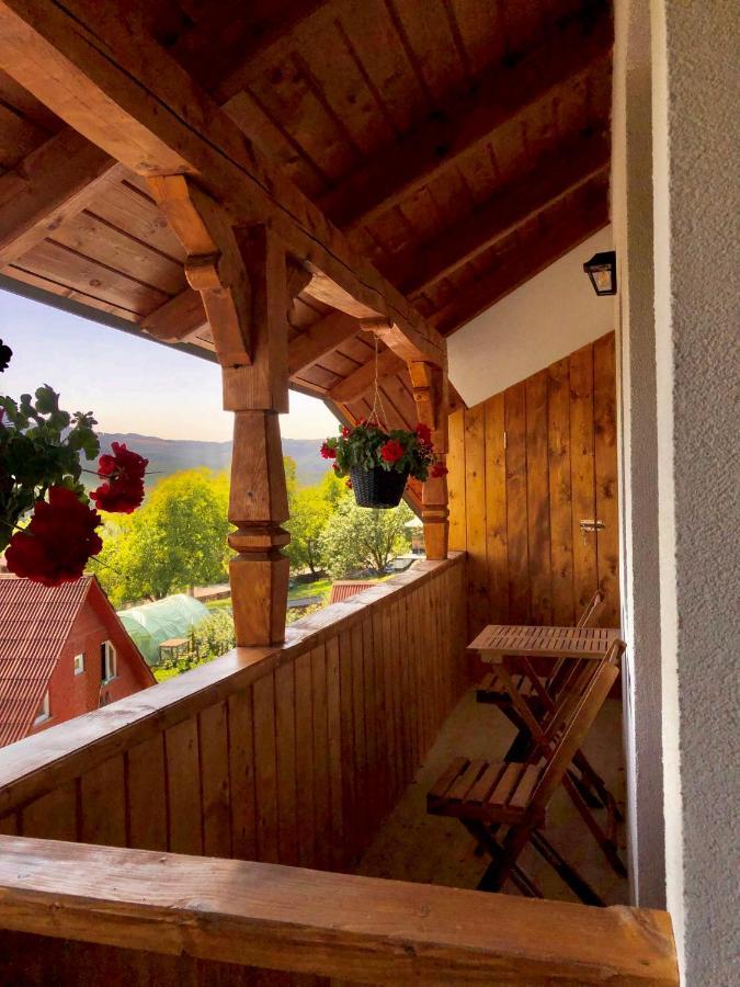 Pensiunea Roca Maramures Deseşti Екстериор снимка