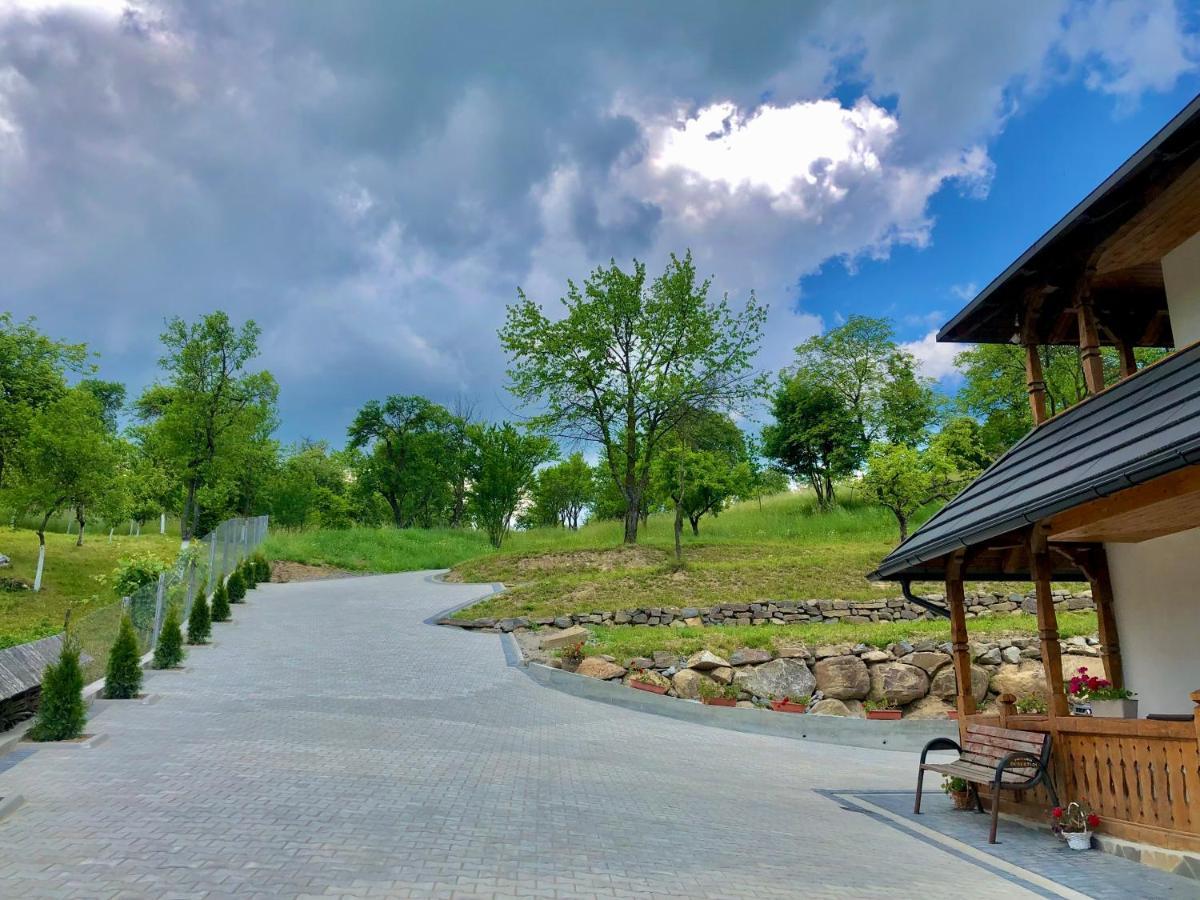 Pensiunea Roca Maramures Deseşti Екстериор снимка