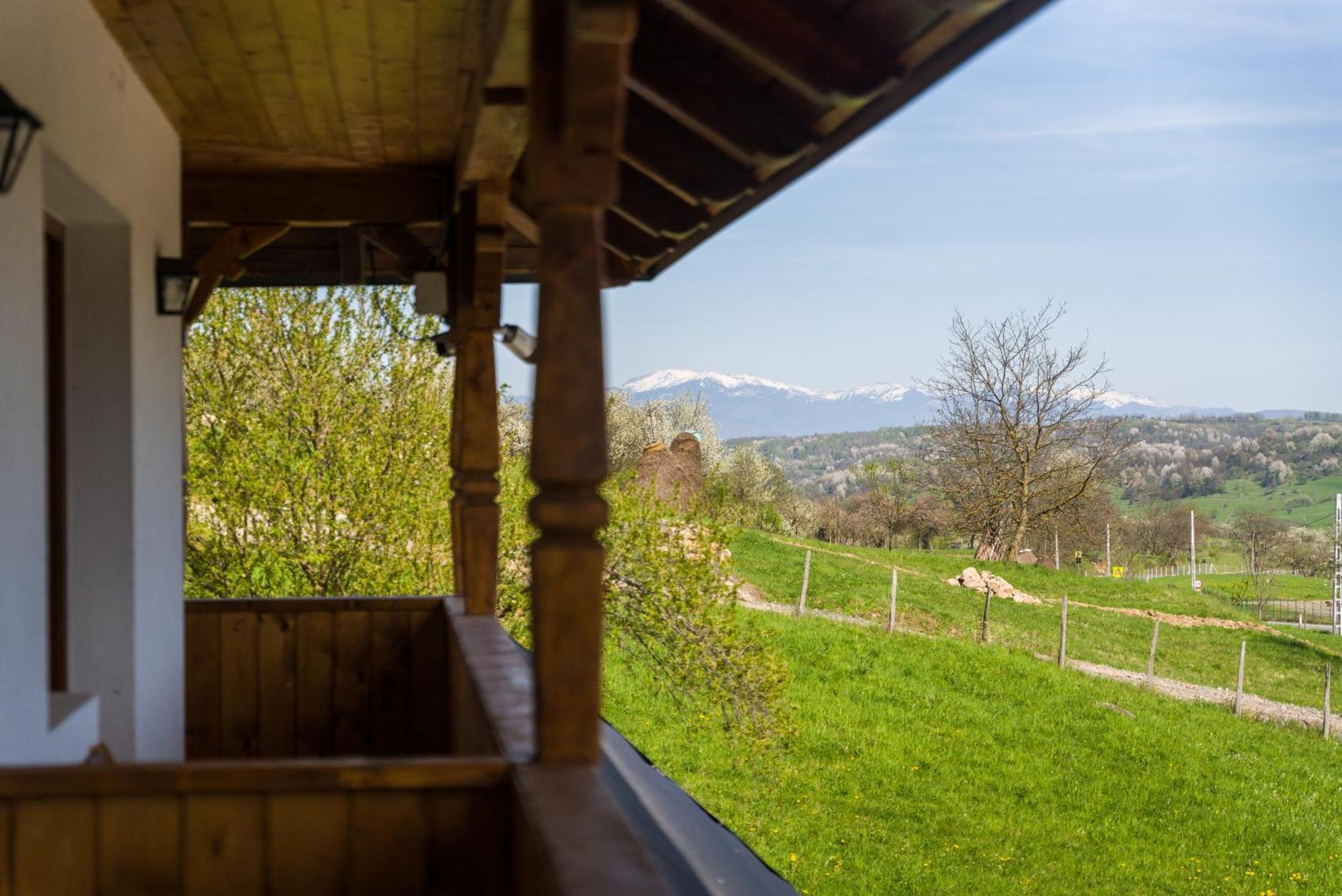 Pensiunea Roca Maramures Deseşti Екстериор снимка